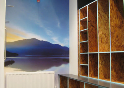 commercial construction example - Wonga 5